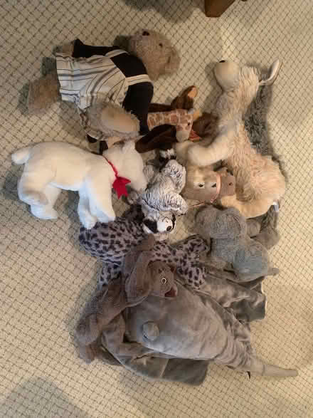 Photo of free stuffed animals (Lafayette) #1