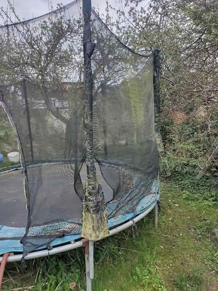 Photo of free Trampoline 3 metre diameter. (Oxford OX4) #2