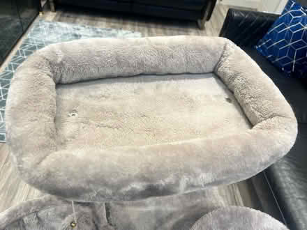 Photo of free Cat tree house (UB6) #4