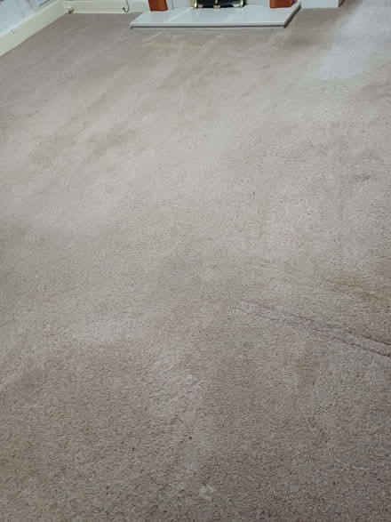 Photo of free Beige Carpet (Southport PR9) #1