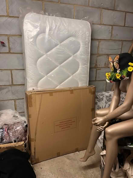 Photo of free Single Mattress & Bed Frame (SE27) #1
