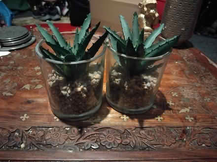 Photo of free 2 faux flowers (Childwall L25) #1