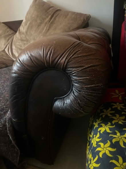 Photo of free Chesterfield Sofa (SE27) #3