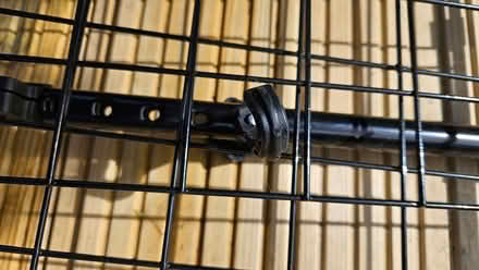 Photo of free Car dog guard (Haydock) #4