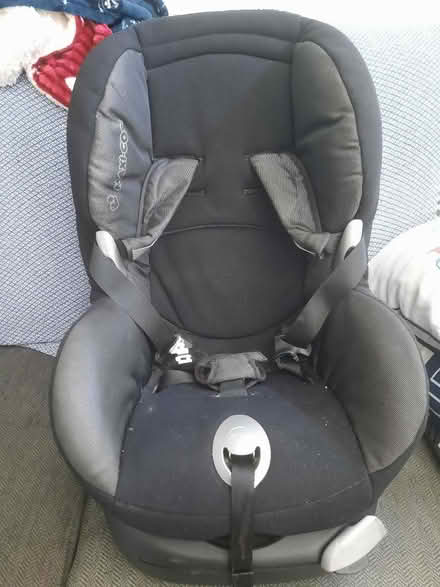 Photo of free Maxi Cosy Cat Seat (Norton Hammer S8) #1