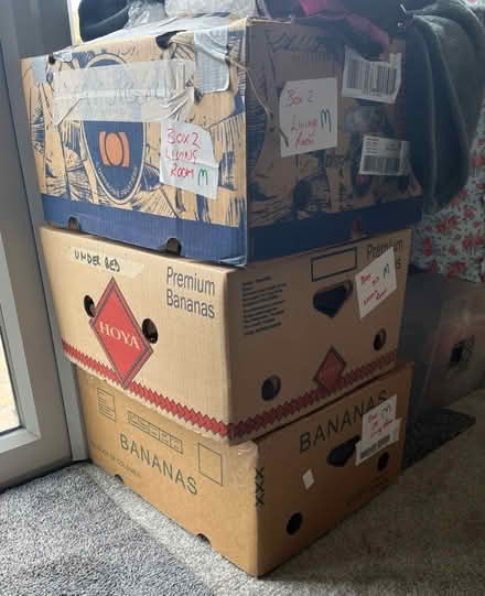 Photo of free Banana boxes (College road) #1