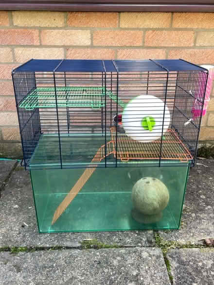 Photo of free Gerbilarium (Horton Heath, SO50 7) #2