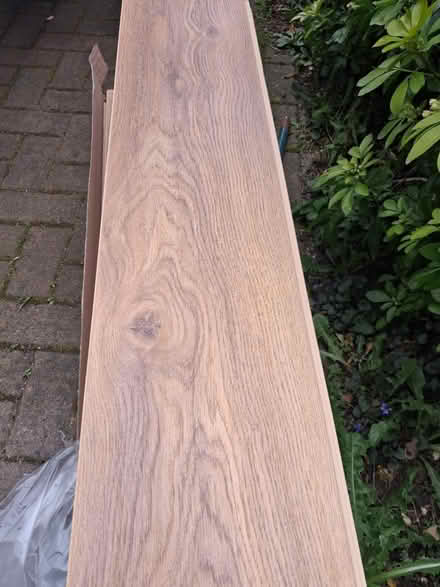 Photo of free 12mm oak effect laminate (weedon) #3