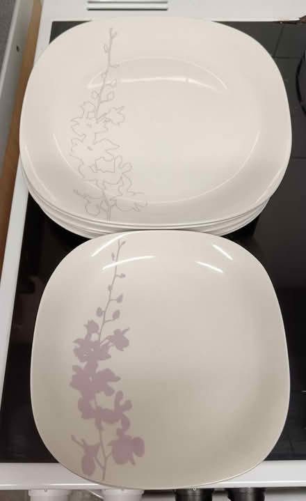 Photo of free Plates (CT2) #1