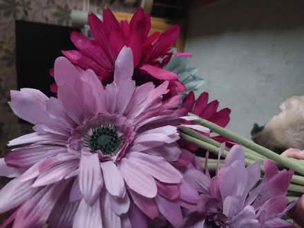 Photo of free Artificial Flowers (Colchester CO4) #1