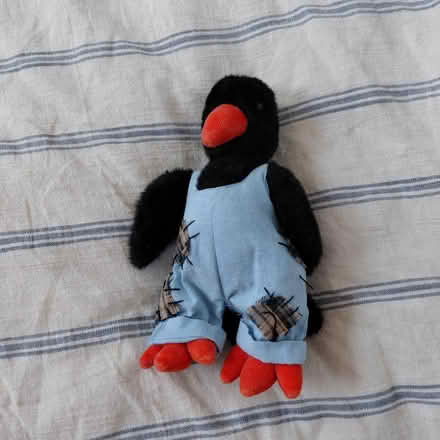 Photo of free Crawley crow plush (Suju's on Decoto Road) #1
