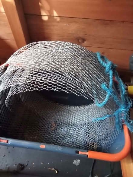 Photo of free Garden bits (Drayton PO6) #3