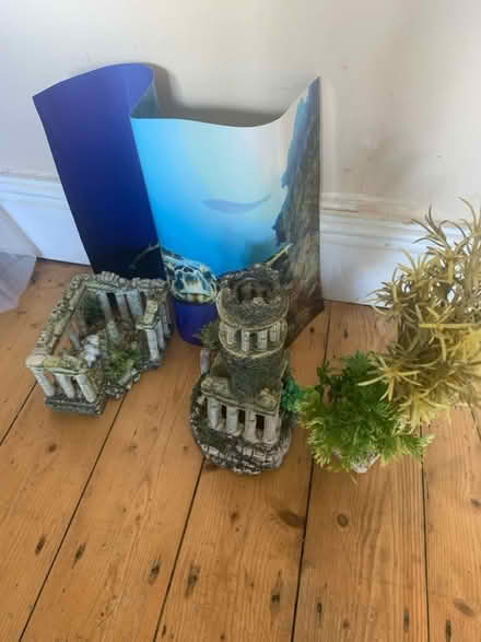 Photo of free Fish tank accessories (M32) #1