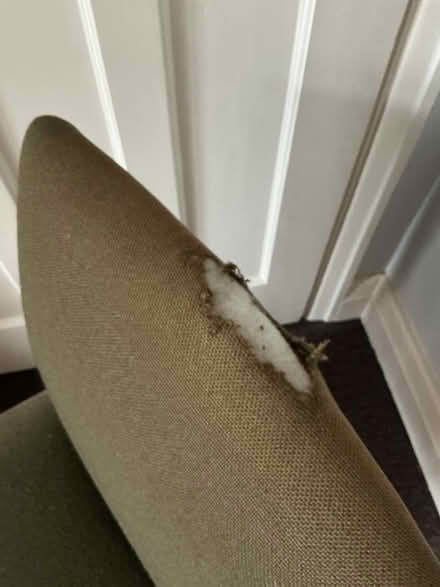 Photo of free Small chair (New Eltham SE9) #2