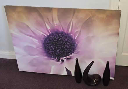 Photo of free Picture & Ornaments (S12 intake S12) #1