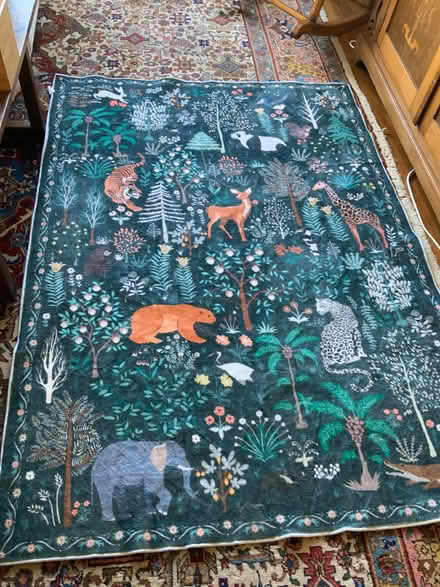 Photo of free Rug for children’s play room (Widcombe BA2) #1