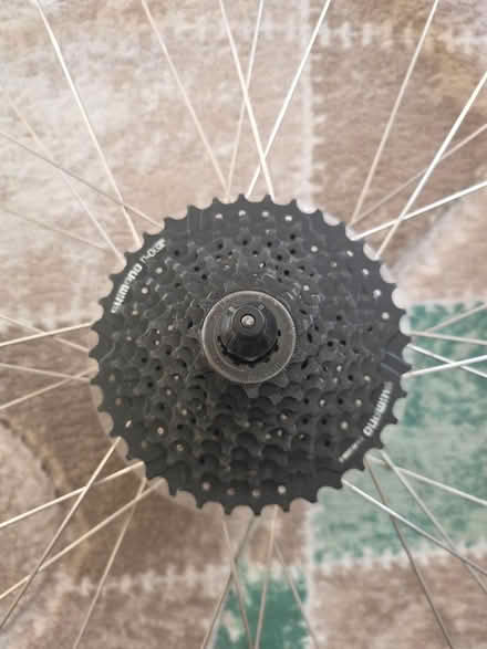 Photo of free Bike back wheel (BR3) #3