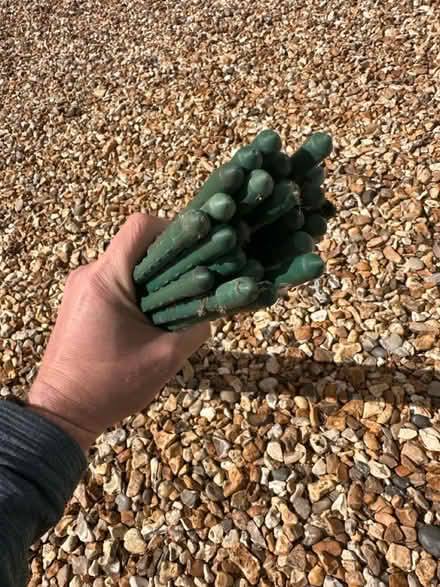 Photo of free 25 x Metal Garden Stakes (Newbury, Speen) #2