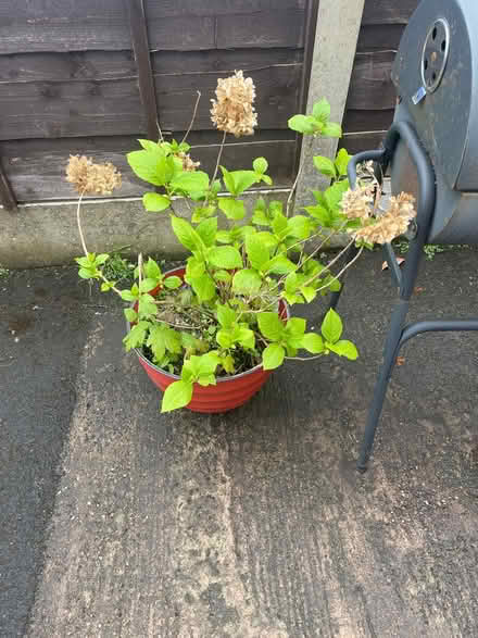 Photo of free BBQ, Child Play Pen, Roof Tiles (M40 5RX) #3