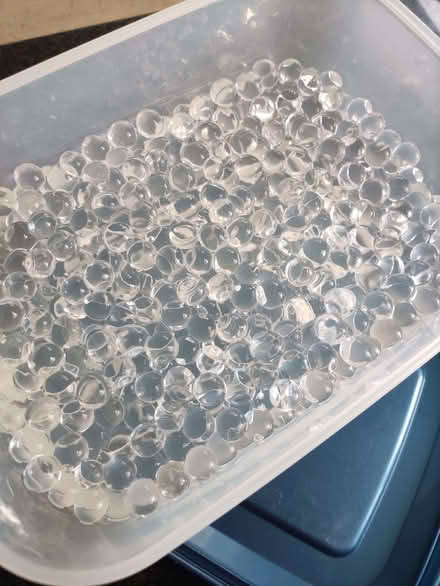 Photo of free Orbees clear coloured water balls (Chislehurst BR7) #1