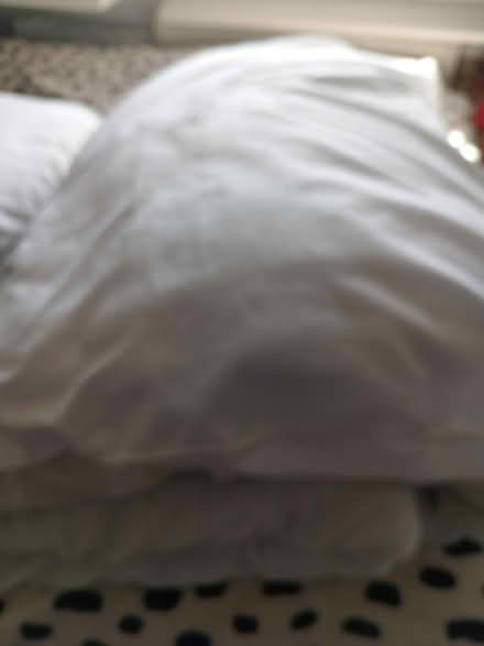 Photo of free Double duvet and pillow (Lower Morden SM4) #1