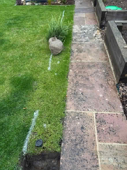 Photo of free Turf (Hitchin Herts) #3