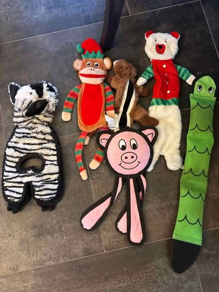 Photo of free Misc flat dog toys (Glen Gardner, NJ) #1