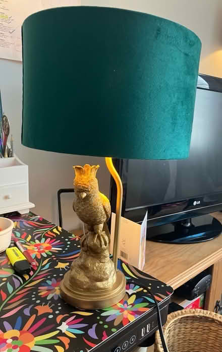 Photo of free Parrot lamp 🦜 (Waddon) #1