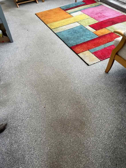 Photo of free Grey carpet (Sacriston DH7) #1