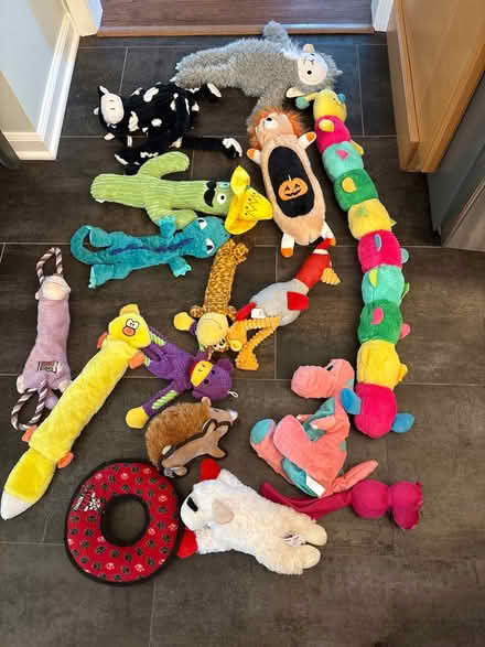 Photo of free Miscellaneous dog toys (Glen Gardner, NJ) #1