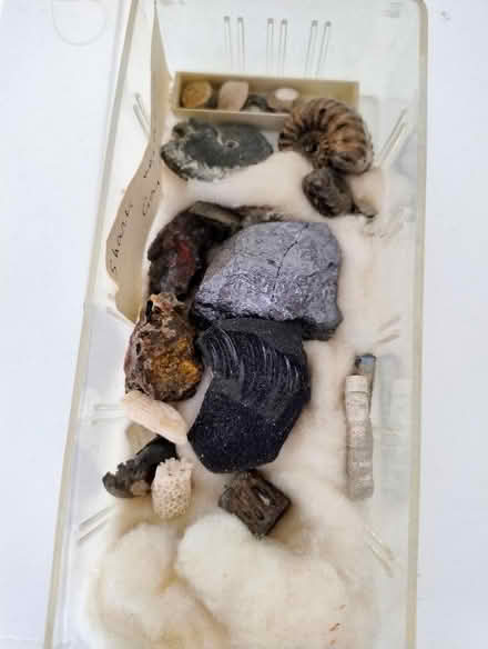 Photo of free Geology Rock Samples and Fossils (Dunblane FK15) #3