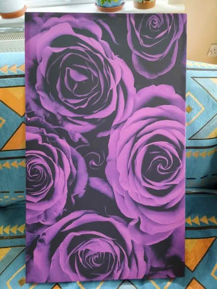 Photo of free Purple Roses Framed Art (Swords) #1