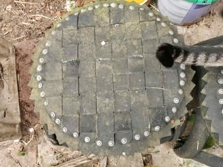 Photo of free Garden furniture (Islington N1) #3