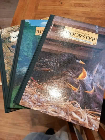 Photo of free 9 BOOKS plus others and vinyl records (New Malden KT3) #2