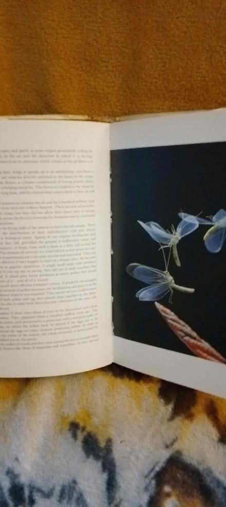 Photo of free old book (St Leonards TN38) #2