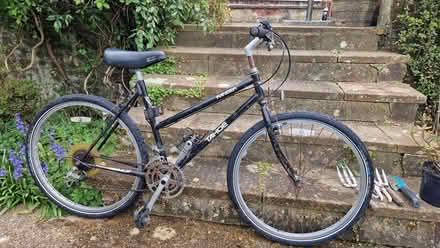 Photo of free Ladies' mountain bike (Hove Park area BN3) #1