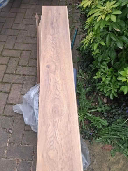 Photo of free 12mm oak effect laminate (weedon) #2