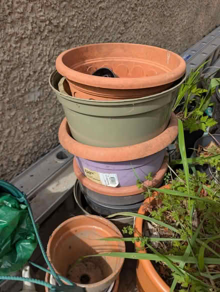 Photo of free Plastic plant pots and a few terracotta ones too (Portslade by Sea BN41) #1