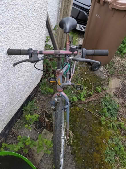 Photo of free Ladies bike (Sutton Manor WA8) #2