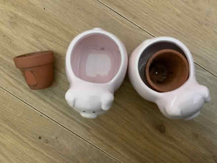 Photo of free Pig mini plant holder (Surrey Heath GU15) #2