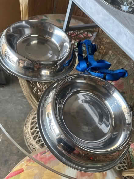 Photo of free Dog Bowls / Harness / Cable & Stake (Fort Lauderdale Sunrise / I-95) #3