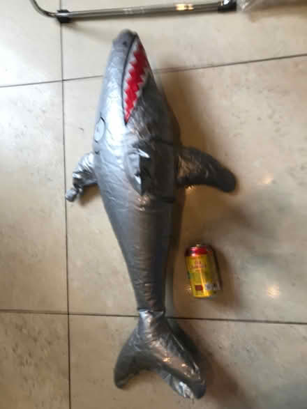 Photo of free Blow up shark (Shepherds Bush) #2