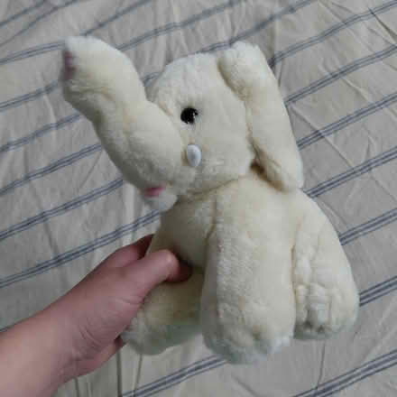 Photo of free Elephant plush (Suju's on Decoto Road) #1