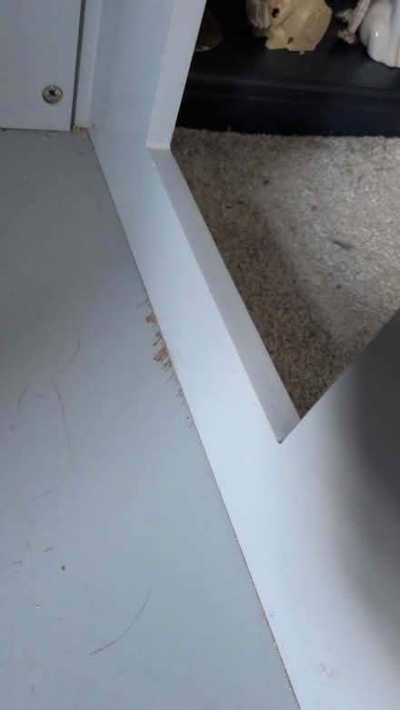 Photo of free Cat Litter Cupboard (Gateshead (NE8)) #4