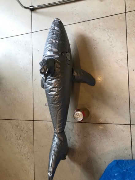 Photo of free Blow up shark (Shepherds Bush) #1