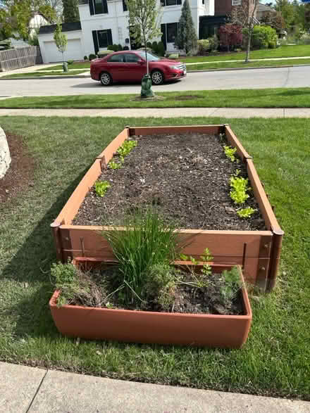 Photo of free Garden Soil (North side of Oak Park) #2
