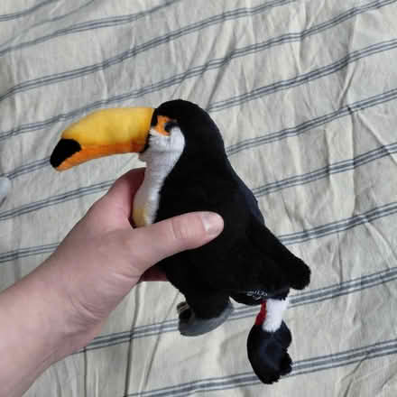 Photo of free Small toucan plush (Suju's on Decoto Road) #1