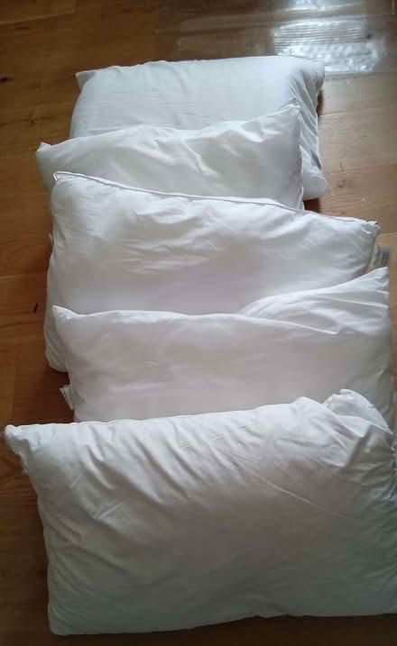 Photo of free Pillows (Tivoli GL51) #1