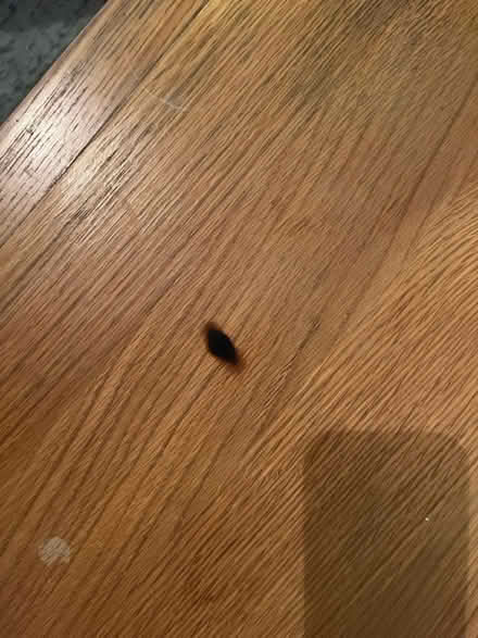 Photo of free Coffee table (Stowmarket IP14) #2