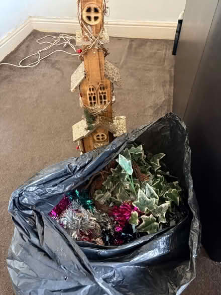Photo of free Christmas decorations (Fallowfield M14) #1